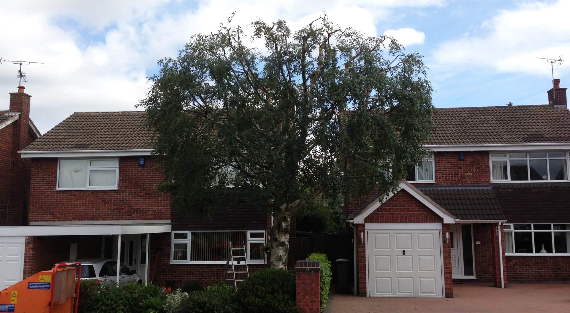 Tree Reduction